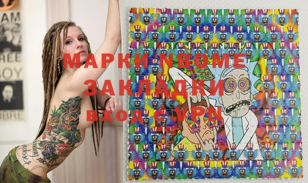 хмурый Алзамай