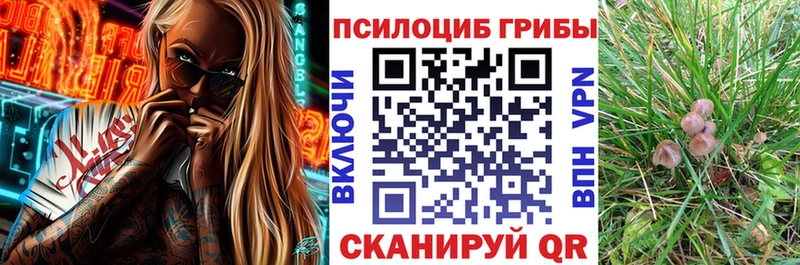 Галлюциногенные грибы мицелий закладка Калачинск